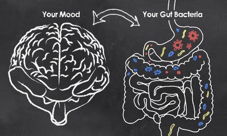 Brain-gut