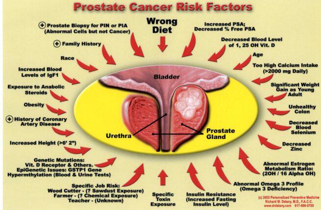 prostate